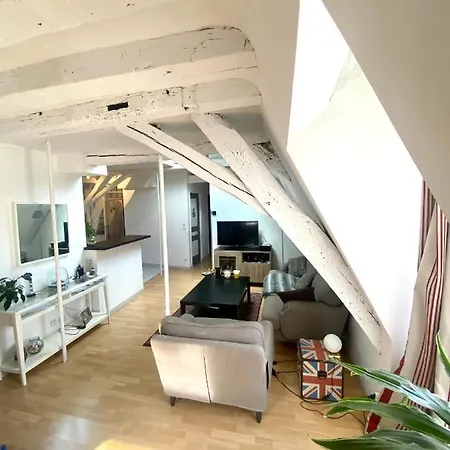 Apartamento Quartier Halles 70m2 Tours